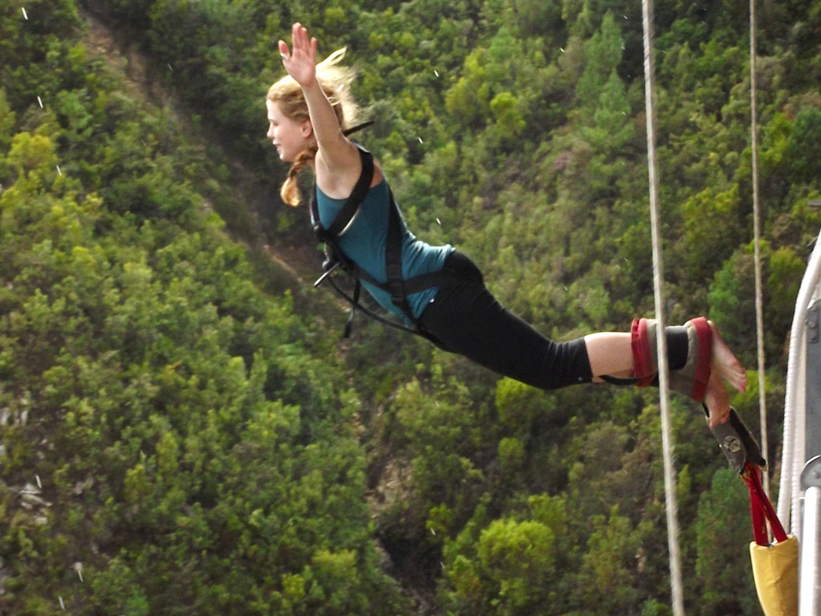 South Africa Bungee Jumping at Bloukrans Bridge