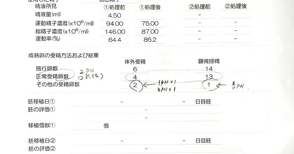 胚盤胞は?培養結果と凍結融解胚移植のホルモン補充開始_D2 38歳、早くあかちゃんに会いたいな