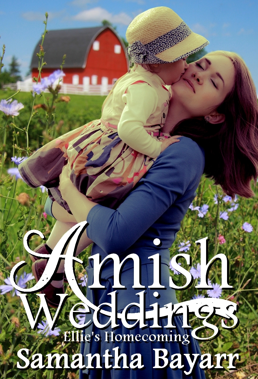Amish Books New Release Amish Fiction Books