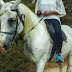 Θεσπρωτία: Τραυματίστηκε τουρίστρια που έκανε ιππασία 