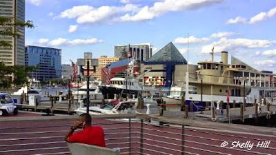 Fun Things to See and Do in Baltimore Inner Harbor 