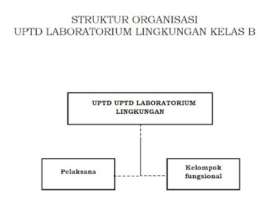 Struktur Organisasi UPTD Laboratorium Lingkungan Pada Dinas Lingkungan Hidup Kabupaten /Kota  Kelas B