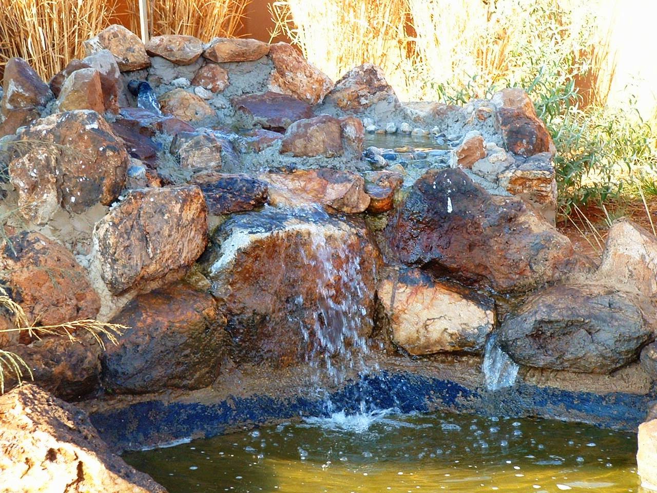 koi-pond-south-africa-design.jpg