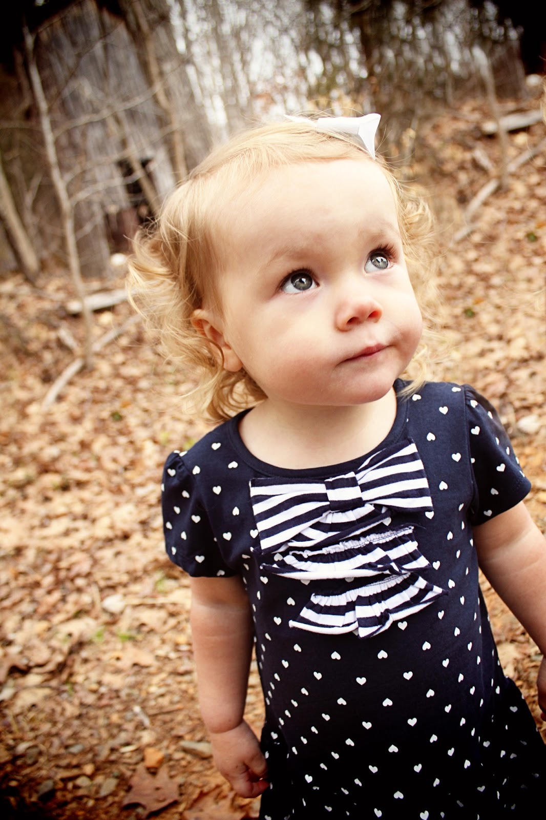 The Turner Times Two Year Old Photo Shoot