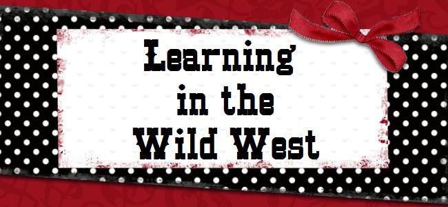 Learning in the Wild West