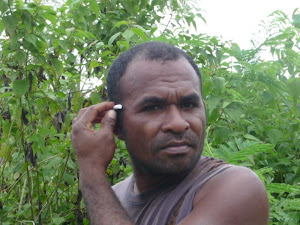 banana hunter Timor