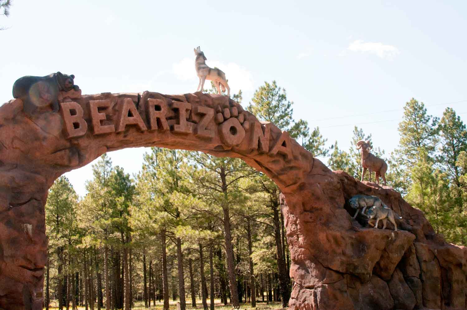 Kissack Adventures Bearizona!!! Awesome place to check out!!