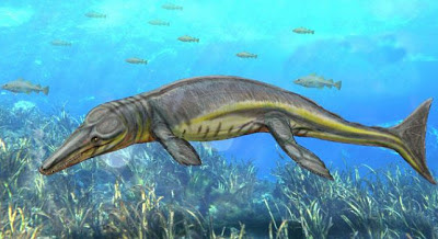 Tyrannoneustes