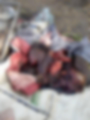 1a7 Graphic photos of the female suicide bomber that attacked a market in Maiduguri