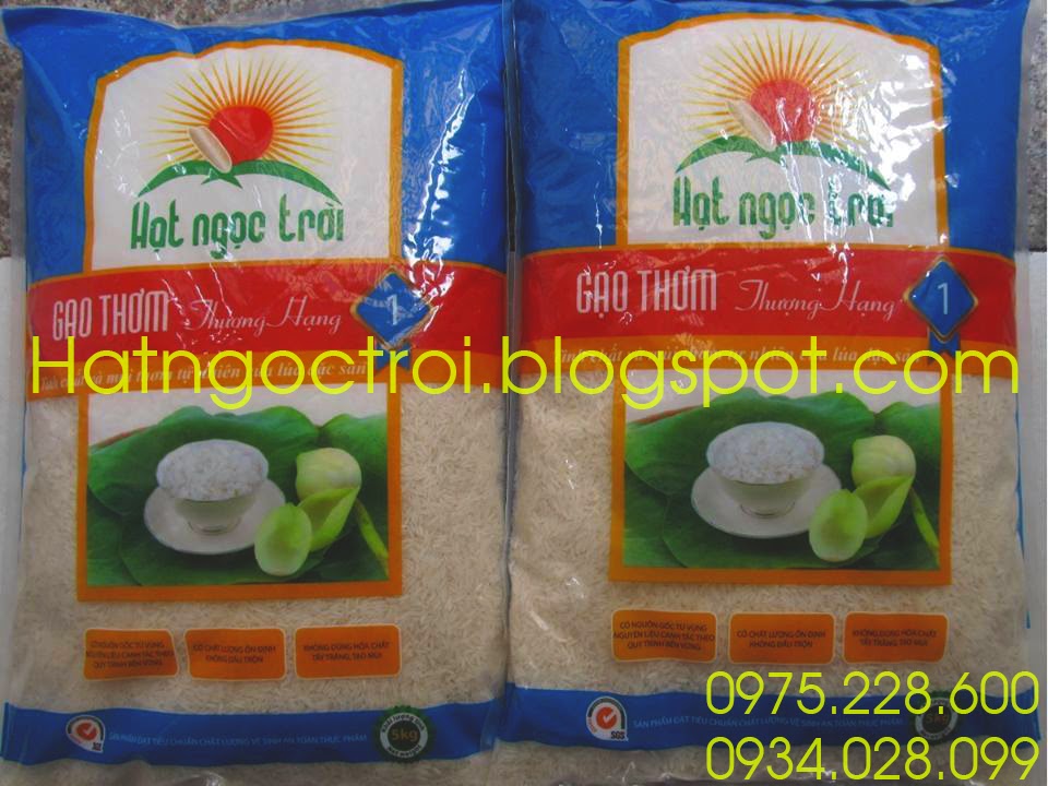 gao-hat-ngoc-troi-thuong-hang-loai-1 gao-hat-ngoc-troi-thuong-hang-loai-1