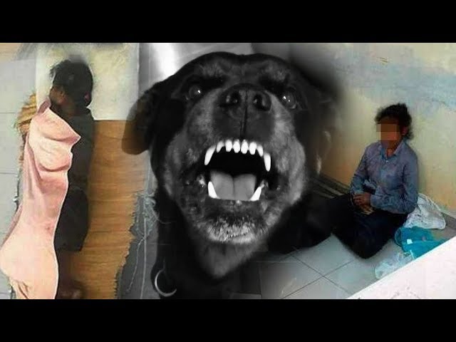 Disiksa dan Dipaksa Tidur dengan Anjing, TKW Asal Medan ini Tewas Mengenaskan di Malaysia