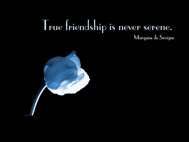 quotes on friendship. Famous Quotes About Friendship