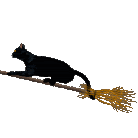 El gato y la escoba (Mi humor gatuno)