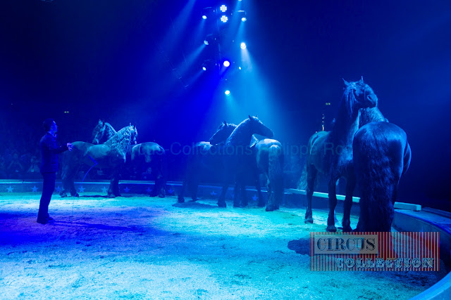 trois groupe de deux frisons dans la piste du Cirque Knie