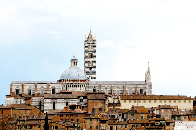katedra sieneńska katedra del duomo, katedra w sienie, katefra siena, siena, włochy, italy, italia