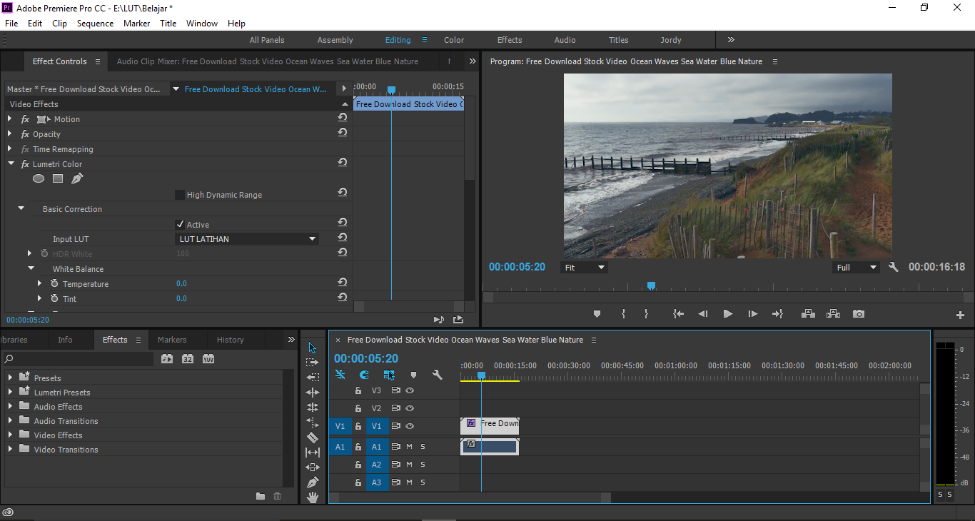 Adobe premiere как экспортировать видео. Анимация текста в премьер про. Lut для Premiere Pro cc. Формат Adobe Premiere Pro. Adobe Premiere Pro инструменты.