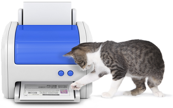 Extreme Couponing Mommy: $2.00/1 Scoop Away Cat Litter Print or Mail Coupon
