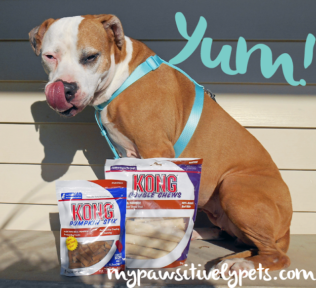 KONG Dog Treat Review and Giveaway