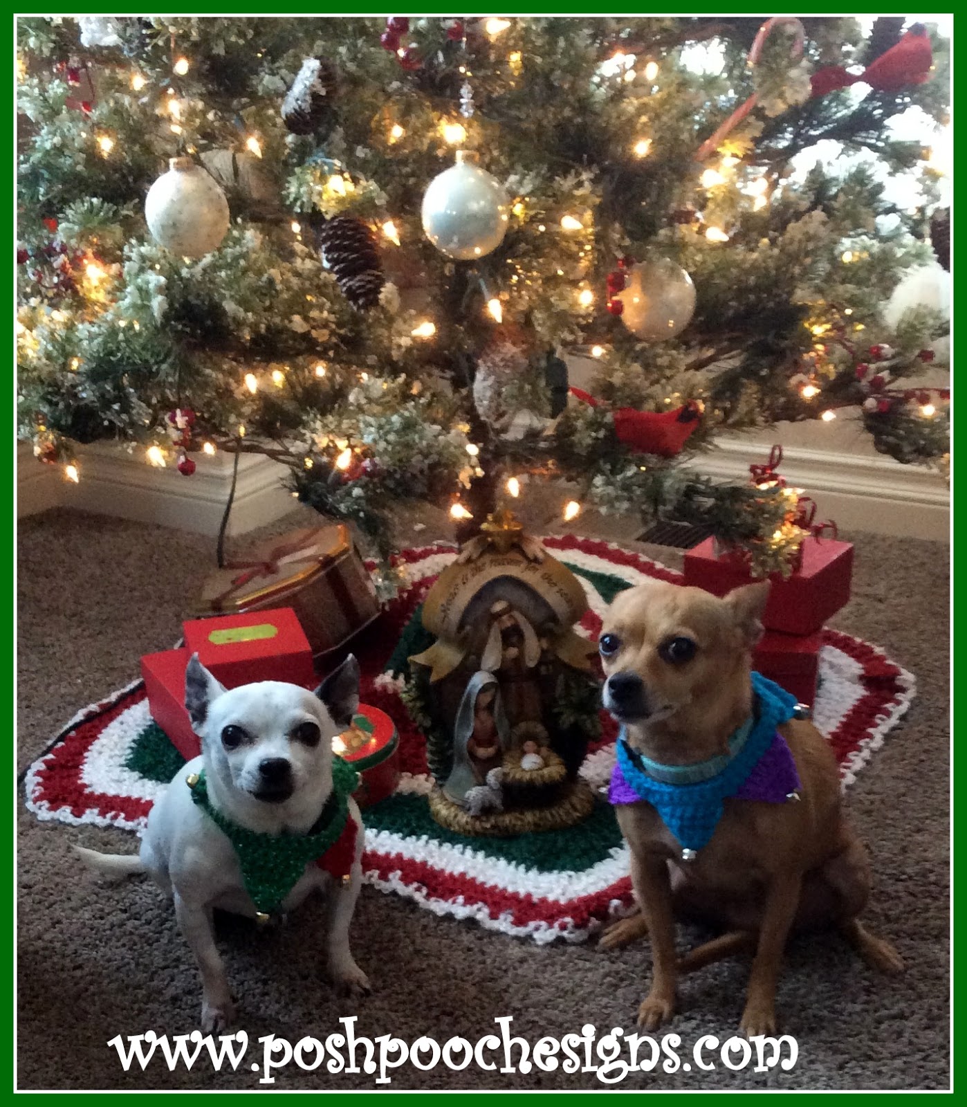 Posh Pooch Designs Christmas Dog Collar Fun Fast Free Pattern