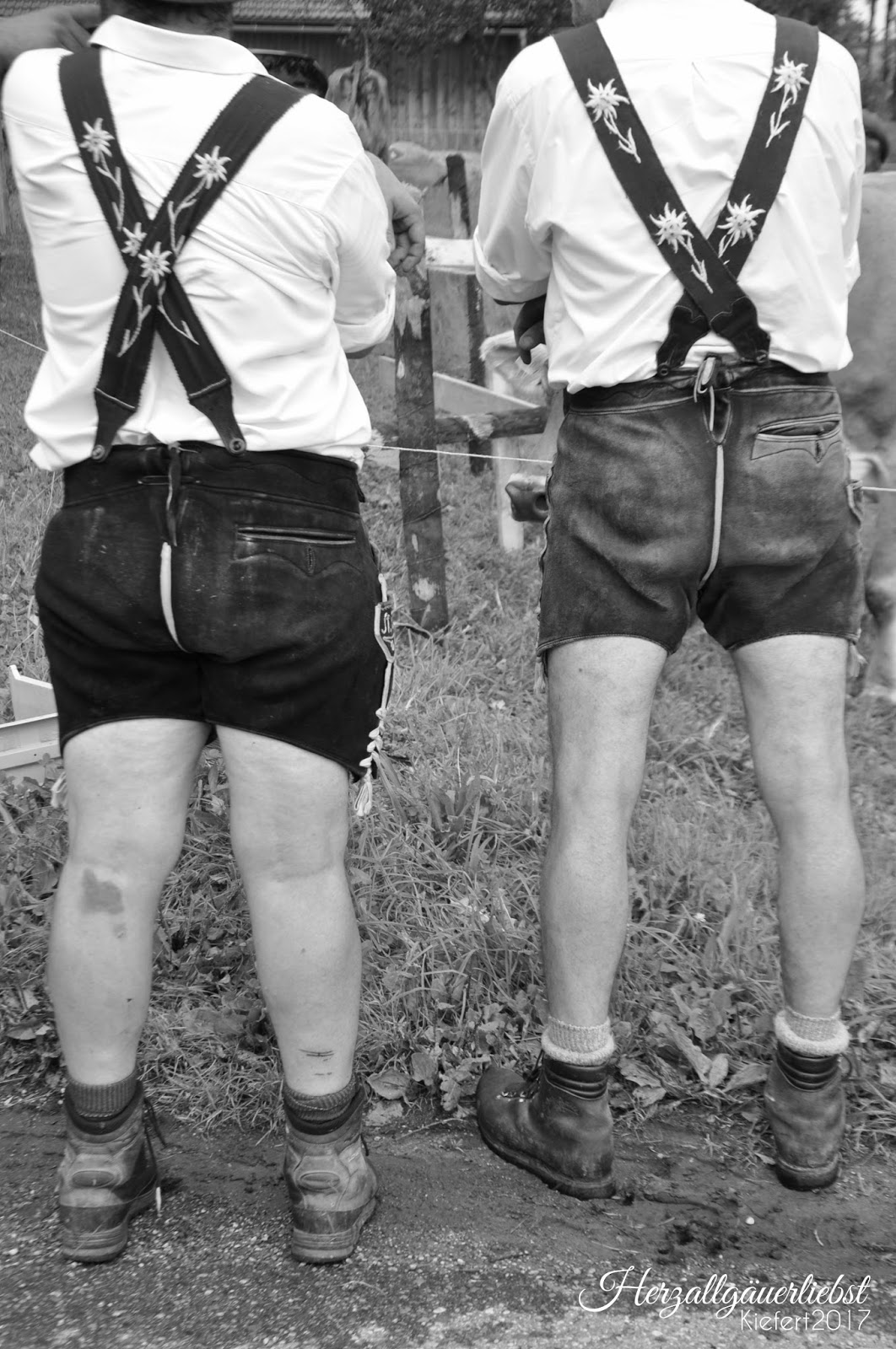 Mikesseite De Oa02 Kleinwalsertal Hoher Ifen