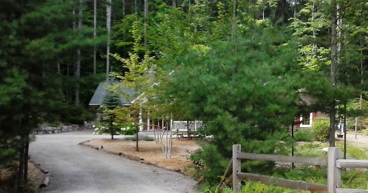 Cheboygan County Watchdogs Winning the Tuscarora Township Property Tax