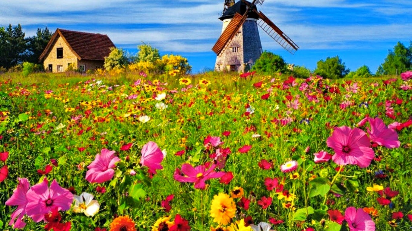 Latest Hd Mobile Wallpapers: HD Nature Wallpapers For Mobile