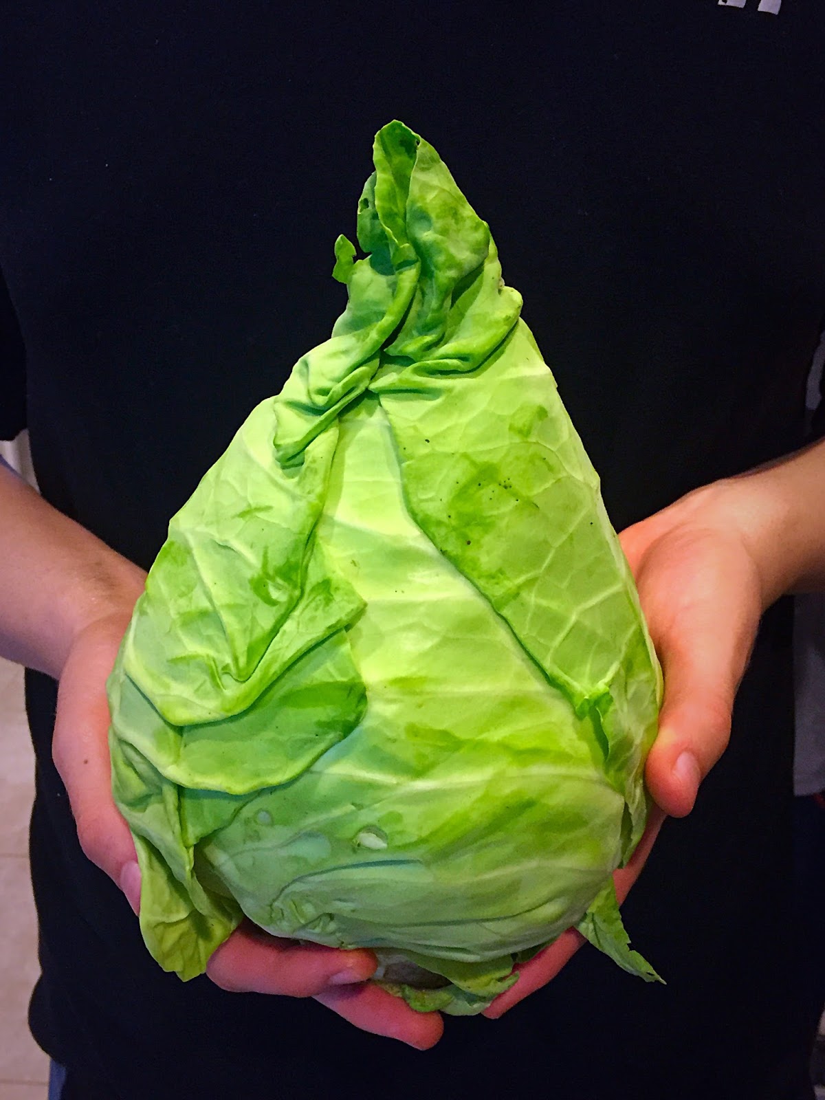 What is Cone Cabbage? + Deconstructed Asian Cabbage Roll Recipe