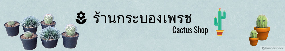 รูปของ