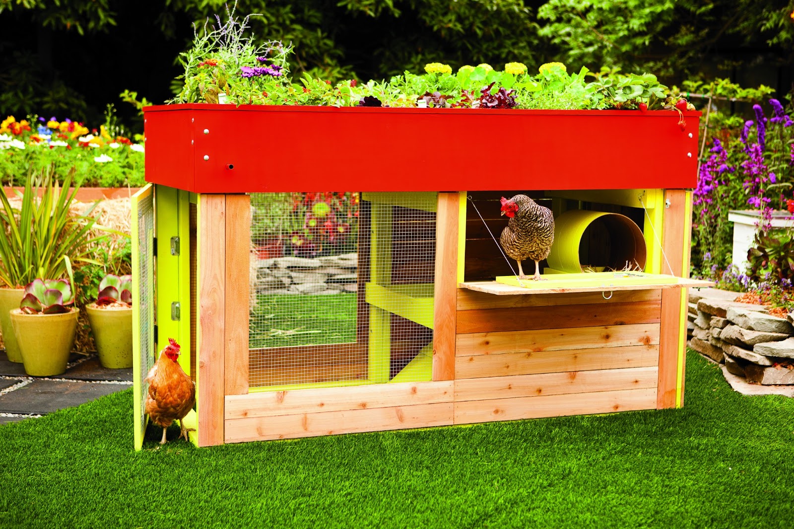 Book Review: Reinventing The Chicken Coop (plus a giveaway!)