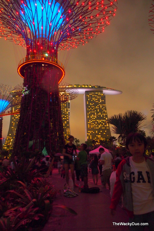 National Day Fireworks Gardens by the Bay