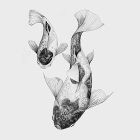02-Koi-Fish-Chris-R-Detailed-Drawings-Involving-Animals-www-designstack-co