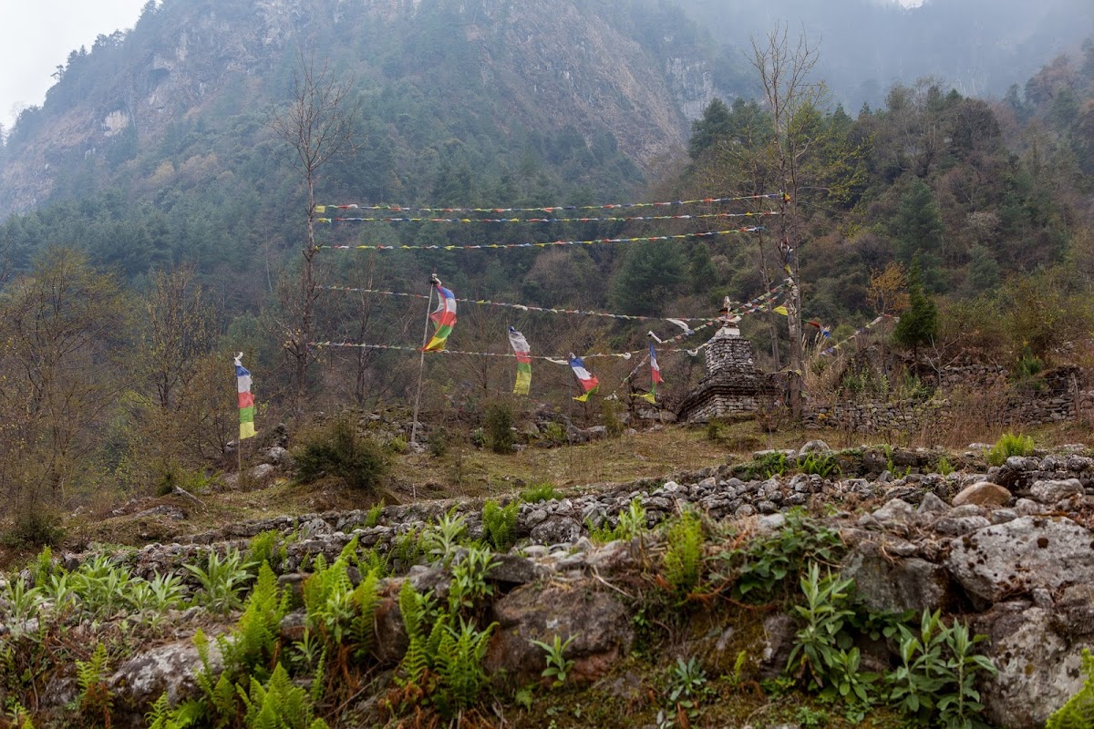 200км по красно-белым черточкам.. Around Annapurna. март-апрель 2017