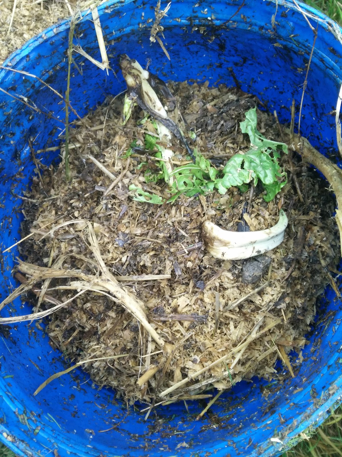 homemade rat proof compost bin that cost nothing