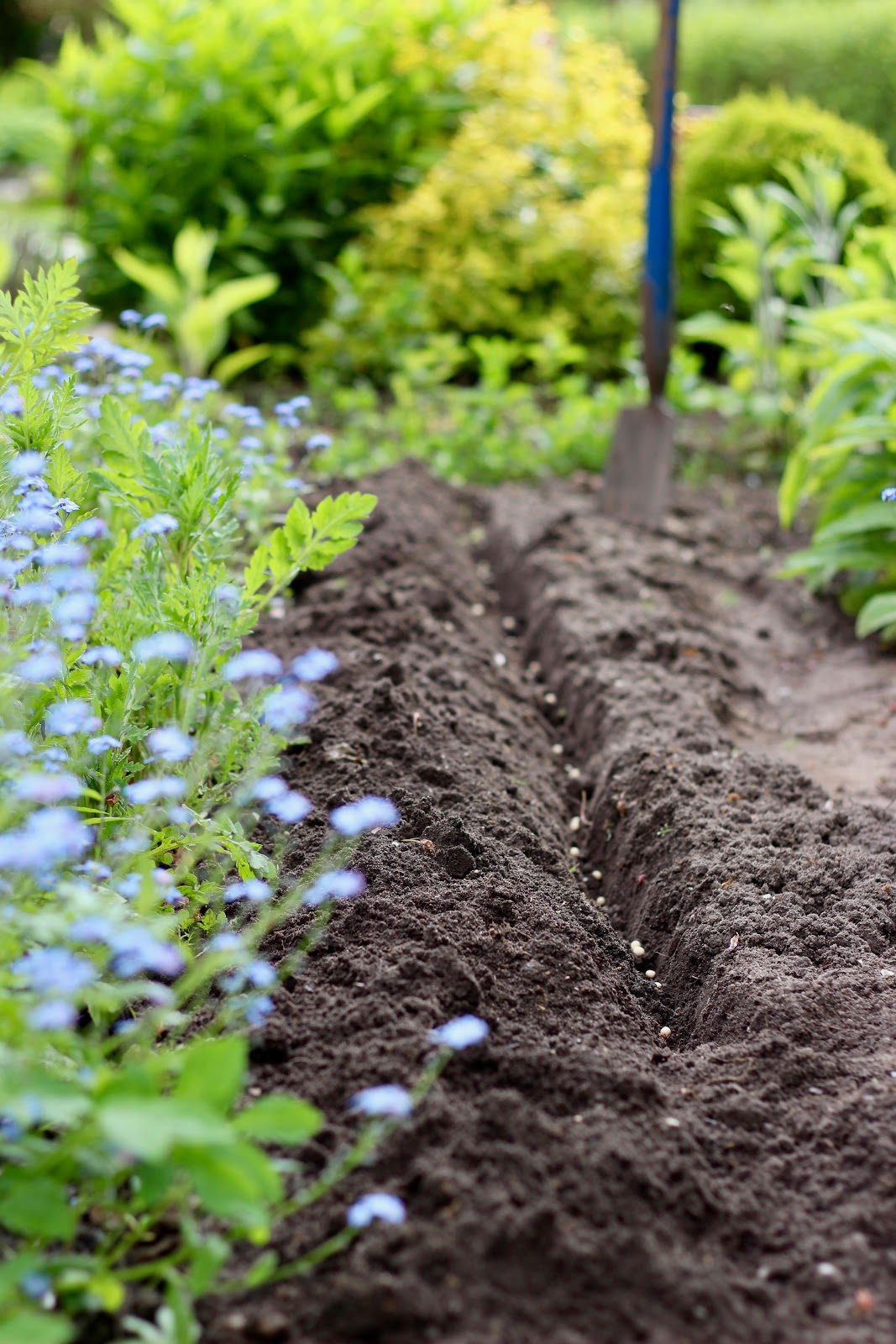 Eine Fahne für den Garten