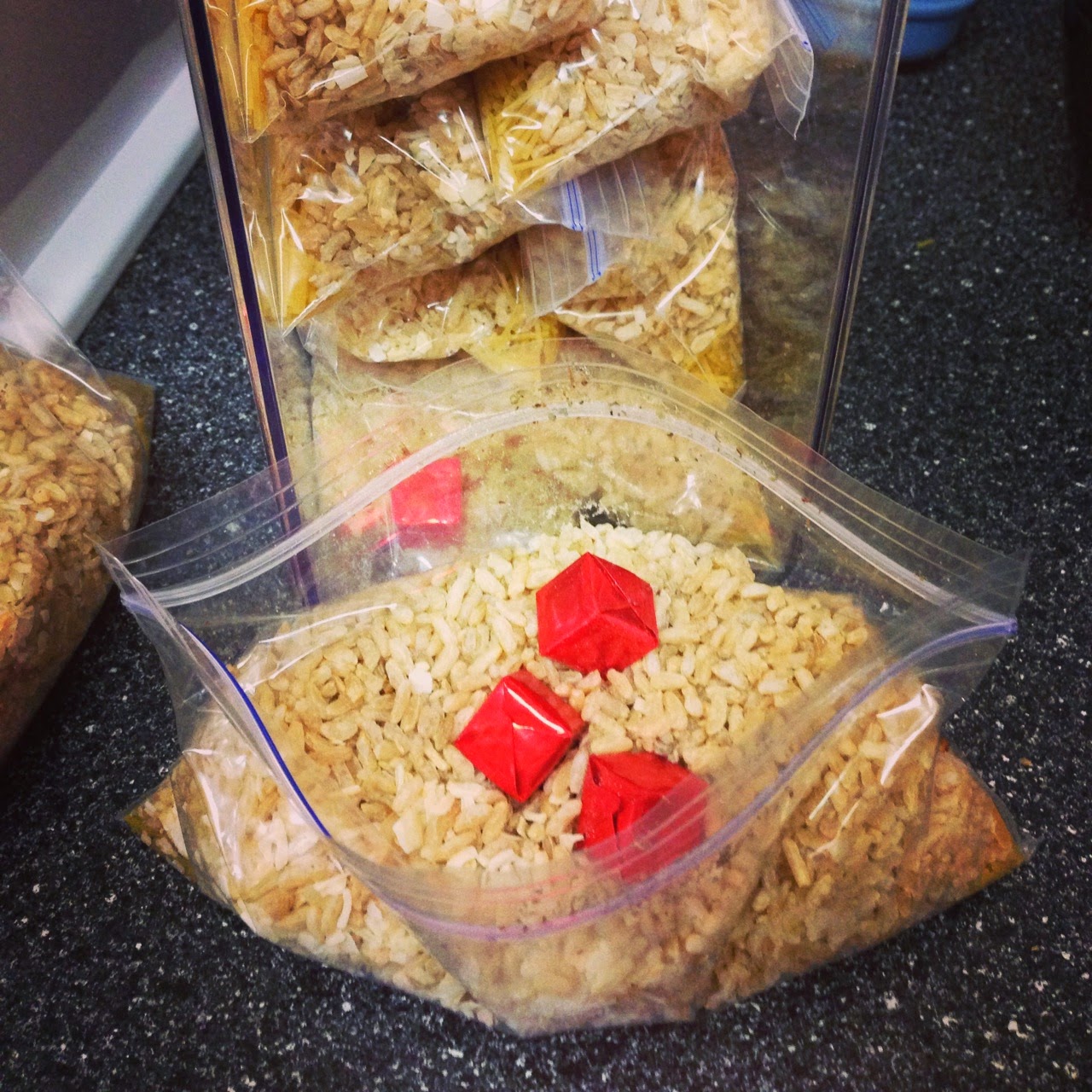 21st Century Keeper at Home Homemade RiceaRoni & Porcupine Roadkill