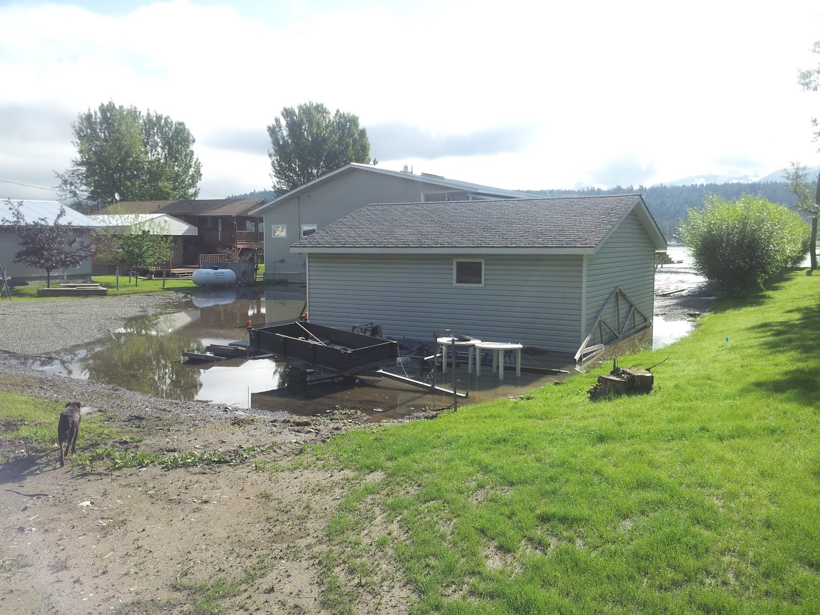 Wasa Lake Community Blog Wasa Lake Photos