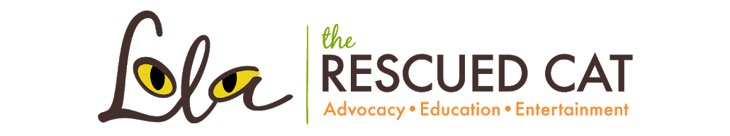 Image below navigation