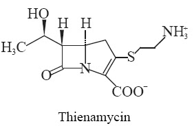 Thienamycin