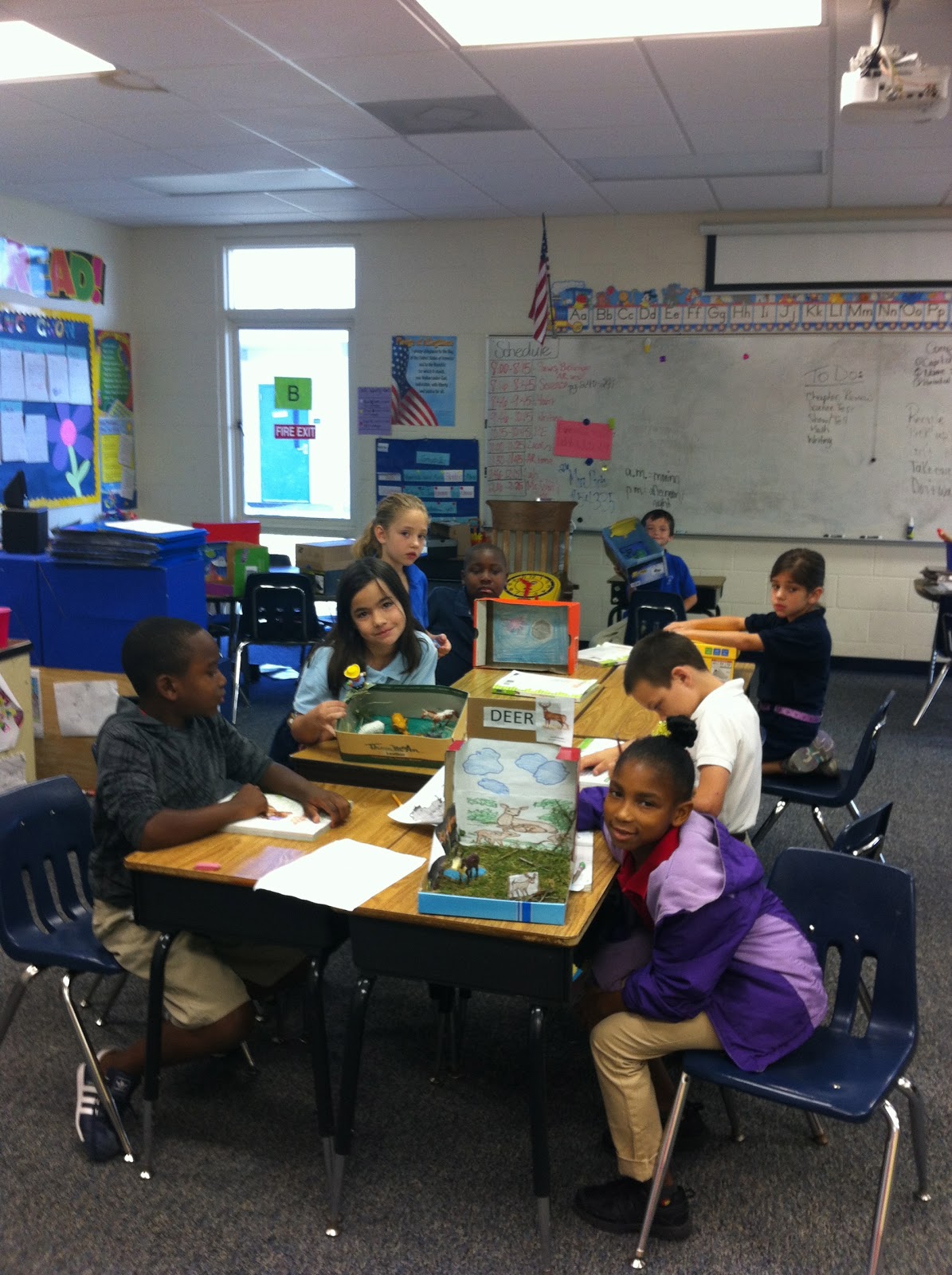Mrs Wood s 3rd Grade Class Sharing Our Habitat Projects 