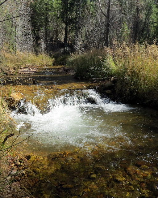 Beyond My Couch Hendrickson Lake