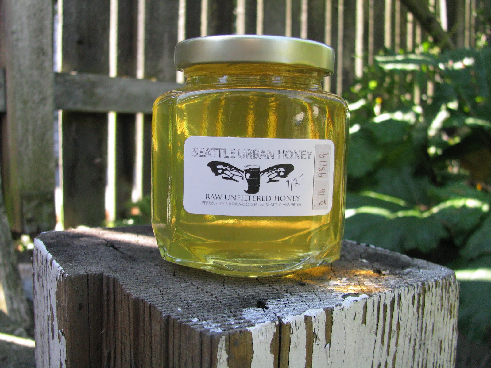 Seattle Urban Honey Bee log 70