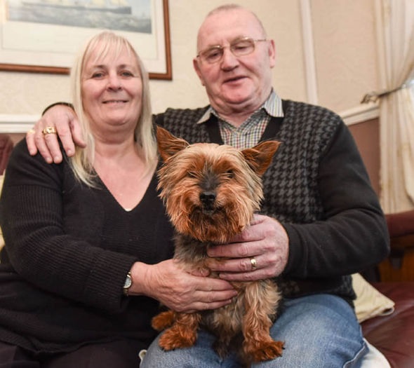 Britain's oldest dog celebrates his 117th birthday... but people still think he's a puppy