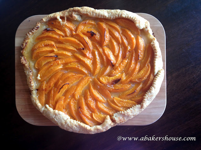 apricot galette overhead photo