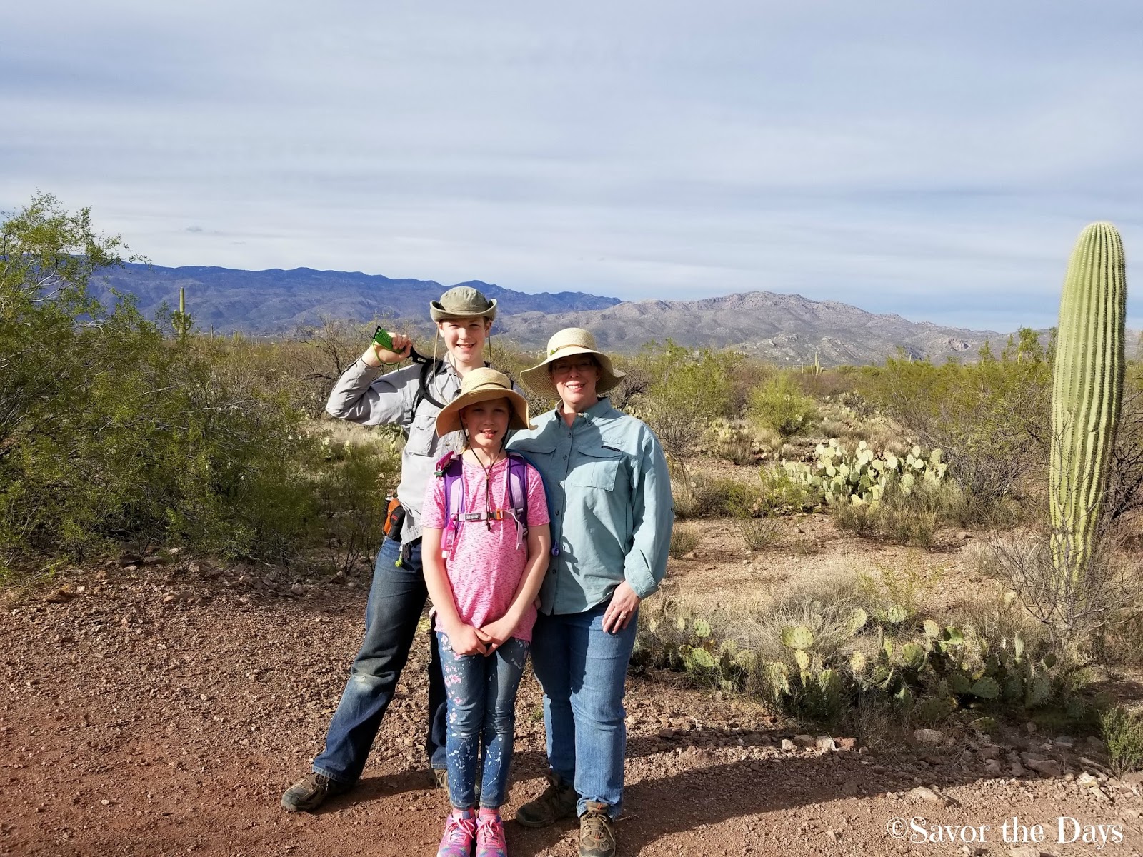 Savor The Days: The Saguaro National Park