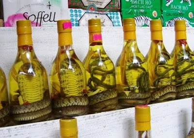 Las extrañas bebidas de Vietnam: El Snake Wine o Vino de serpiente.Snake Wine Snake Wine Snake Wine