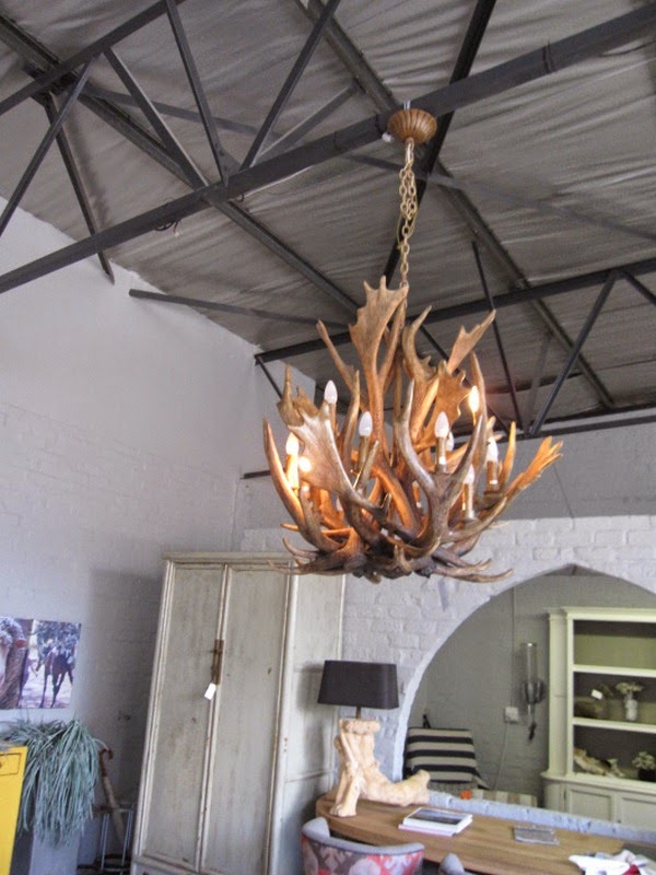 Do you dare to put the horns?