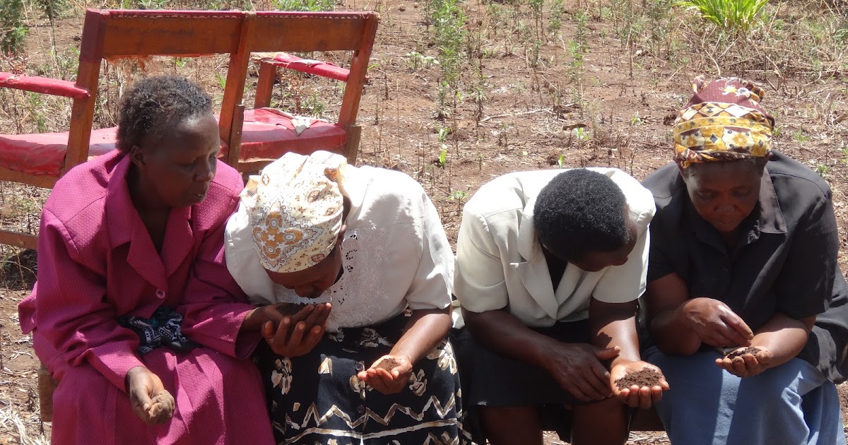 Word and Seed in Uganda Soil Testing with ADS and CFGB