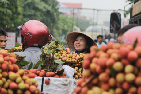 Vietnam Airlines tiep tuc ho tro vai thieu xuat khau - Anh 1