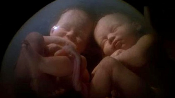 La favola dei gemelli nel grembo materno - Anonimo