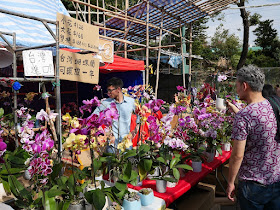 Fa Hui Lunar New Year Fair flower stall